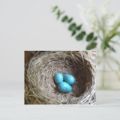 Carte Postale Oeufs bleus (Debout devant)