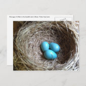 Carte Postale Oeufs bleus (Devant / Derrière)