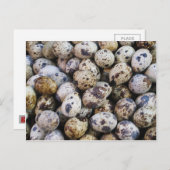 Carte Postale Oeufs de caille (Devant / Derrière)