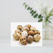 Carte Postale OEufs de caille (Debout devant)