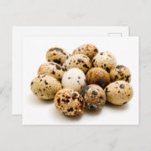 Carte Postale OEufs de caille (Devant / Derrière)