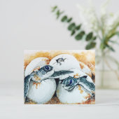 Carte Postale OEufs De Chalet De Honu (Tortue Verte De Mer) (Debout devant)