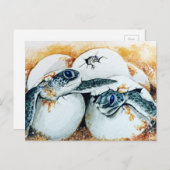 Carte Postale OEufs De Chalet De Honu (Tortue Verte De Mer) (Devant / Derrière)