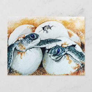 Carte Postale OEufs De Hatchling Honu (Tortue Verte De Mer)