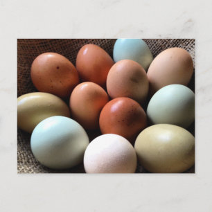 Carte Postale Oeufs de toutes les Shades