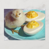 Carte Postale OEufs décapités et poussins (Devant)