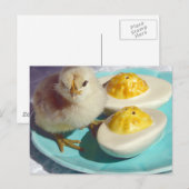 Carte Postale Œufs Dévilés et le Poussin (Devant / Derrière)