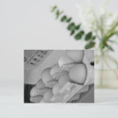 Carte Postale Oeufs frais (Debout devant)
