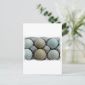 Carte Postale Oeufs verts (Debout devant)