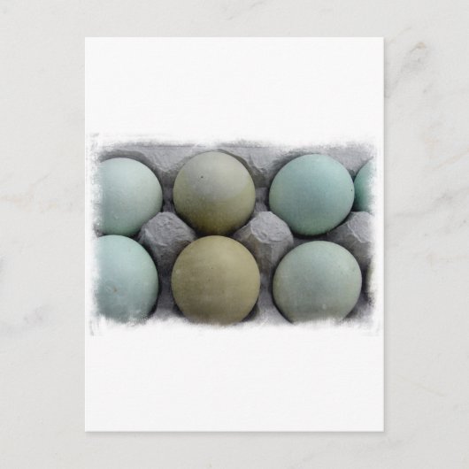 Carte Postale Oeufs verts (Devant)