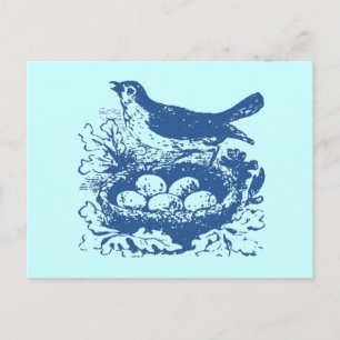 Carte Postale OEufs vintages et nid