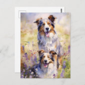 Carte Postale OEuvre colorée d'aquarelle Australian Shepherd (Devant / Derrière)