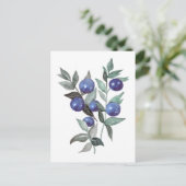 Carte Postale Oeuvre d'aquarelle aux fruits bleus (Debout devant)