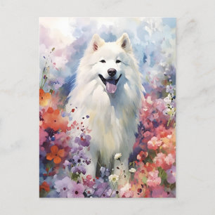 Carte Postale oeuvre d'art aquarelle colorée Samoyed