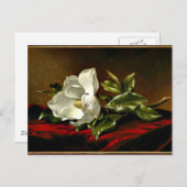 Carte Postale OEuvre d'art Magnolia Grandiflora (Devant / Derrière)