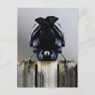 Carte Postale Œuvre d'art murale de corbeau drôle – Oiseau à l'e