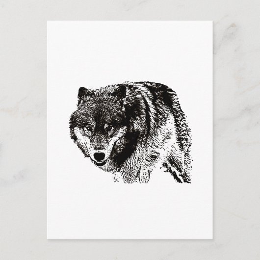 Carte Postale Oeuvre d'art noir et blanc Wild Wolf (Devant)
