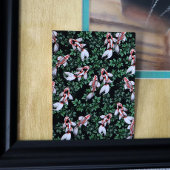 Carte Postale Oeuvre de Koi Pond Fish