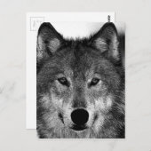 Carte Postale Oeuvre de Loup noir et blanc (Devant / Derrière)