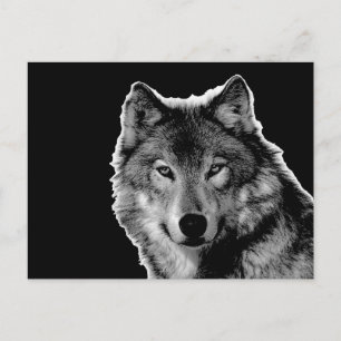 Carte Postale Oeuvre de Loup noir et blanc