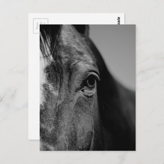 Carte Postale OEuvre d'oeil noir blanc (Devant / Derrière)