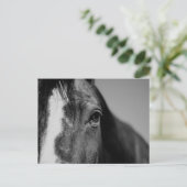 Carte Postale OEuvre d'oeil noir blanc (Debout devant)