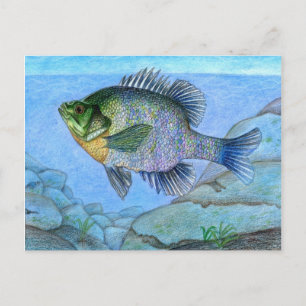 Carte Postale OEuvre gagnante de L. Luan, 7e année