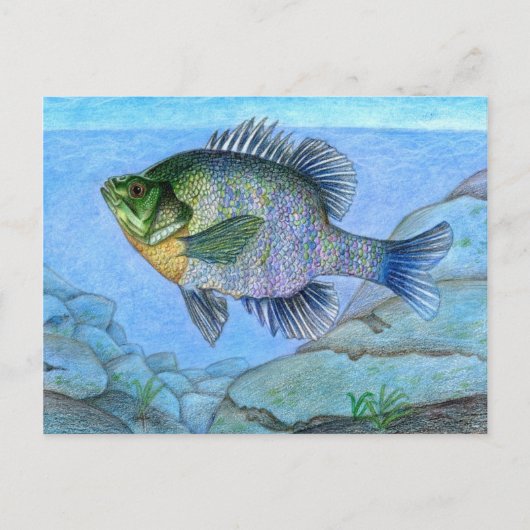 Carte Postale OEuvre gagnante de L. Luan, 7e année (Devant)