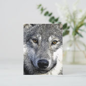 Carte Postale OEuvre Wolf Eyes (Debout devant)