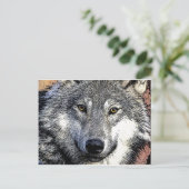 Carte Postale OEuvre Wolf Eyes (Debout devant)