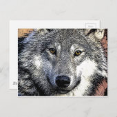 Carte Postale OEuvre Wolf Eyes (Devant / Derrière)