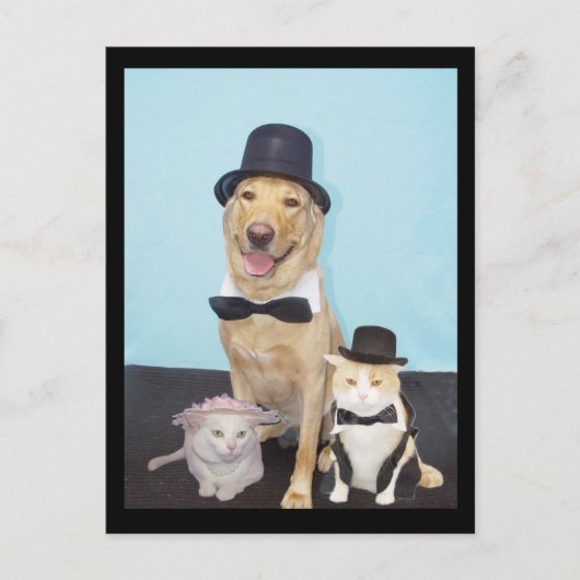 Carte postale officielle (Devant)