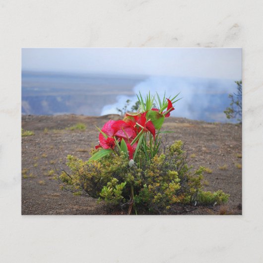 Carte Postale Offre à Pele, déesse du volcan hawaïen (Devant)
