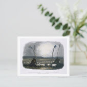 Carte Postale Offre des indiens Mandan, assiette 14 de Volu (Debout devant)