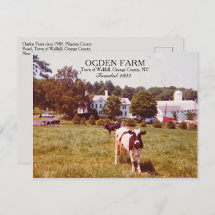 Carte Postale Ogden Farm Town of Wallkill Orange County NY 1980