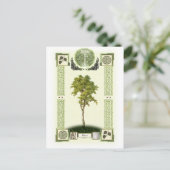 Carte Postale Ogham Birch (Debout devant)