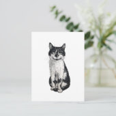 Carte Postale Ogie le chat (Debout devant)