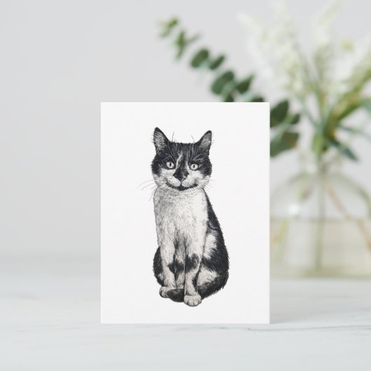 Carte Postale Ogie le chat (Debout devant)