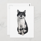 Carte Postale Ogie le chat (Devant / Derrière)