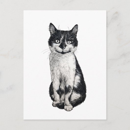 Carte Postale Ogie le chat (Devant)