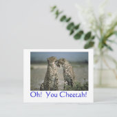 Carte Postale Oh! Cheetah ! (Debout devant)