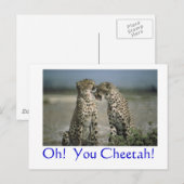 Carte Postale Oh! Cheetah ! (Devant / Derrière)
