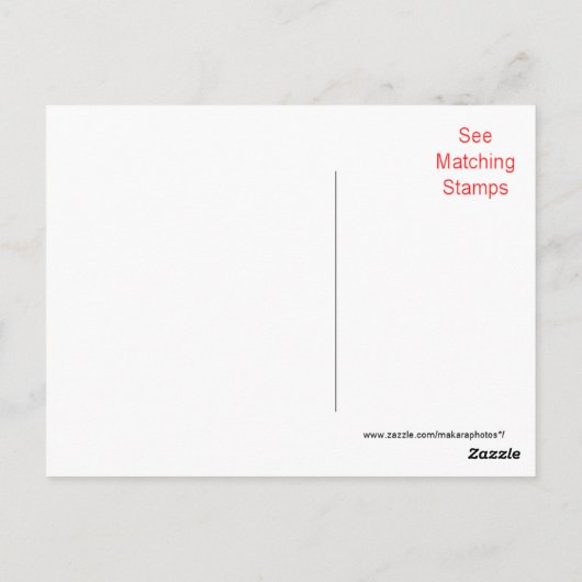 Carte Postale Oh Chère grenouille - personnaliser pour toute occ (Dos)