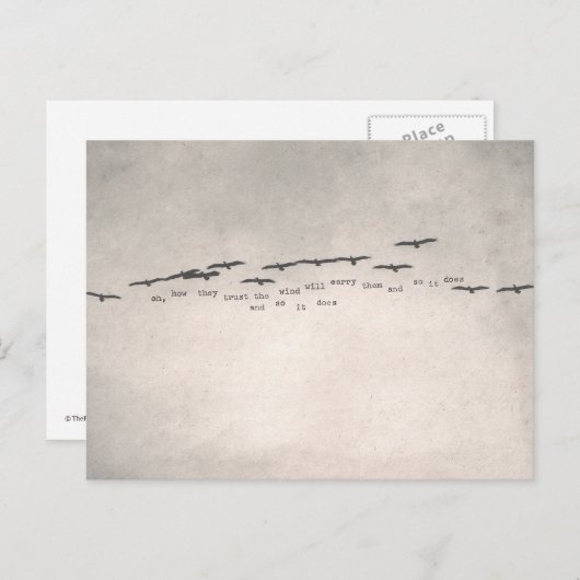 Carte Postale "oh, comment ils font confiance " (Devant / Derrière)