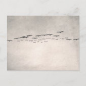 Carte Postale "oh, comment ils font confiance " (Devant)