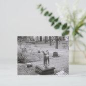 Carte Postale Oh Deer (Debout devant)