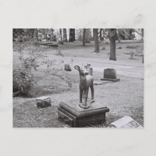Carte Postale Oh Deer (Devant)