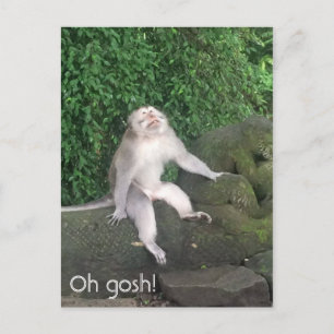 Carte Postale Oh mon dieu singe