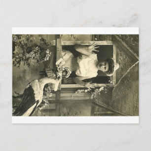 Carte Postale Oh non ! La cigogne infernale !