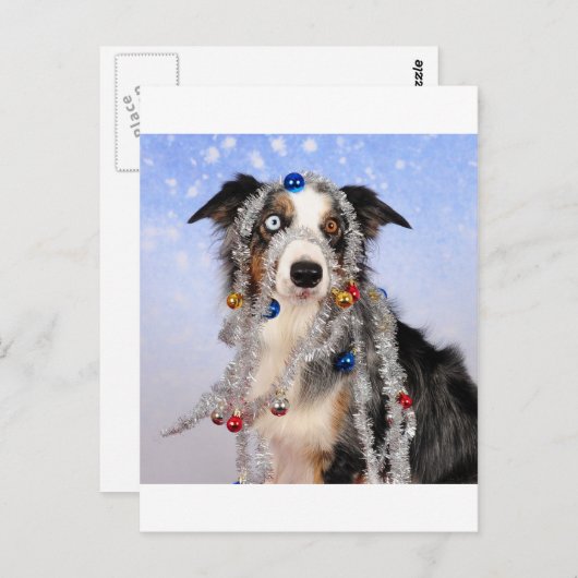 Carte Postale Oh-oh (Devant / Derrière)